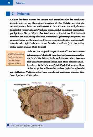 [PDF] 2 Holzarten