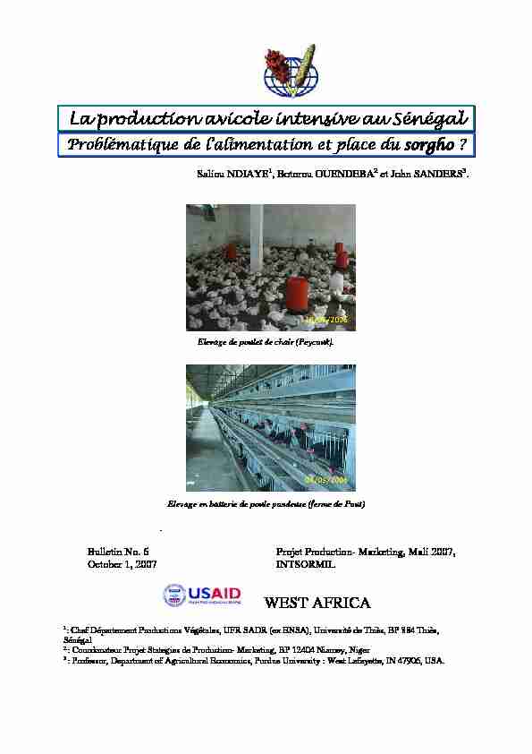 La production avicole intensive au Sénégal WEST AFRICA