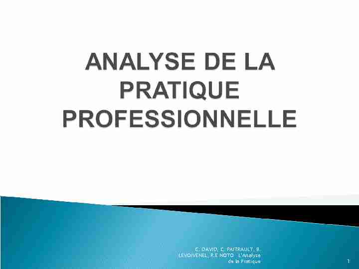 [PDF] ANALYSE DE LA PRATIQUE PROFESSIONNELLE