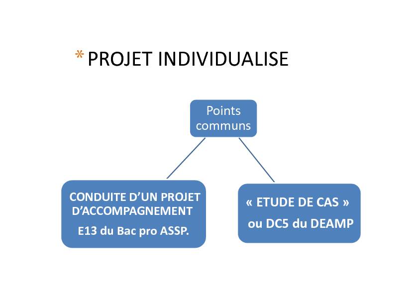 CONDUITE DUN PROJET DACCOMPAGNEMENT E13 du Bac pro