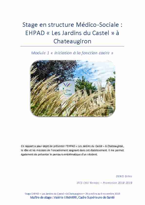Stage en structure Médico-Sociale : EHPAD « Les Jardins du Castel