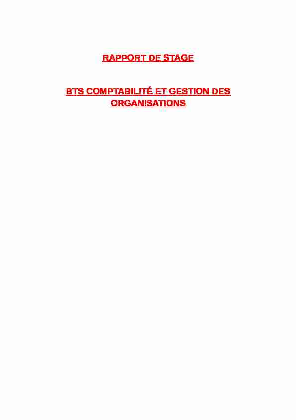 [PDF] RAPPORT DE STAGE BTS COMPTABILITÉ ET GESTION DES