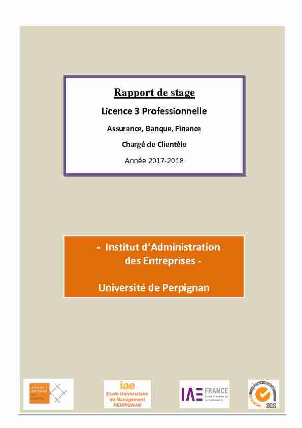 Rapport de stage - Institut dAdministration des Entreprises