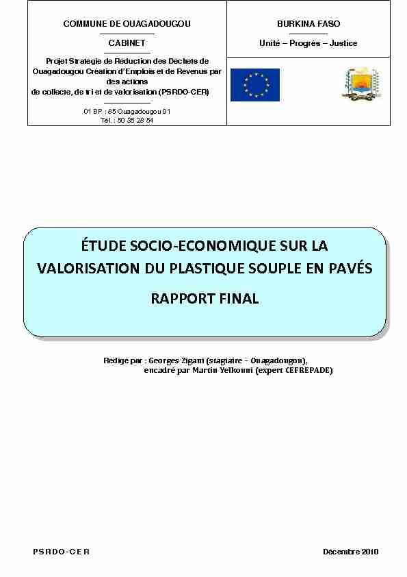 [PDF] Rapport étude socio économique sur le pavé plasitque