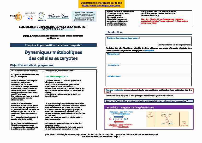 SVT TB chapitre 5 - FICHE Métabolisme (cellules eucaryotes) - T