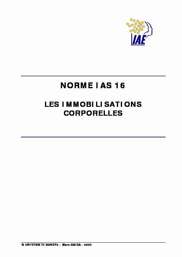 [PDF] NORME IAS 16 - u-psudfr