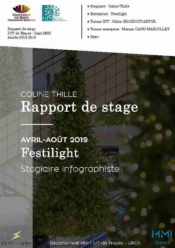 Rapport de stage IUT de Troyes - Dept MMI Année 2018-2019
