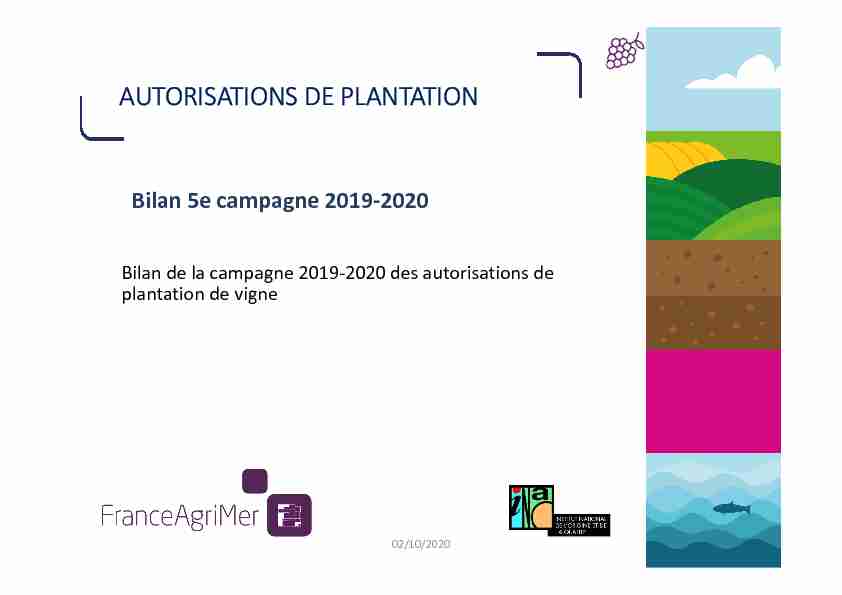 Bilan de la campagne 2019-2020 des autorisations de plantation de