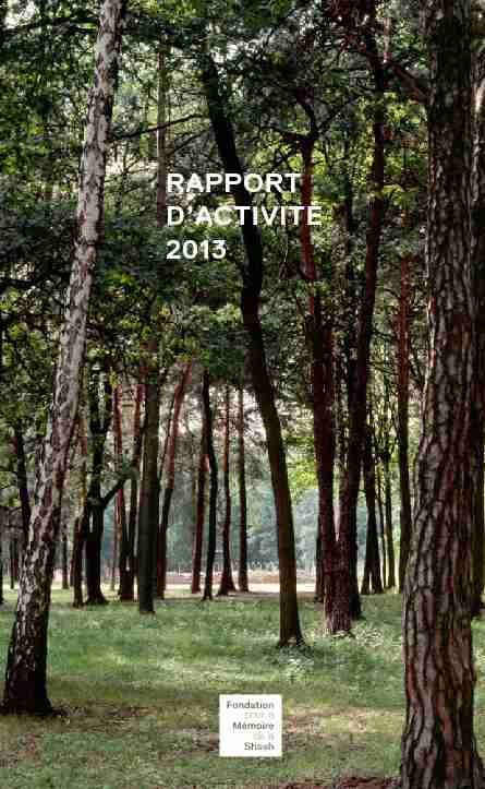 RappoRt dactivité 2013