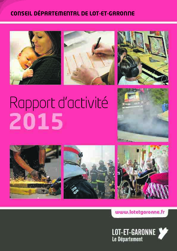 [PDF] Rapport dactivité - Conseil Départemental du Lot-et-Garonne