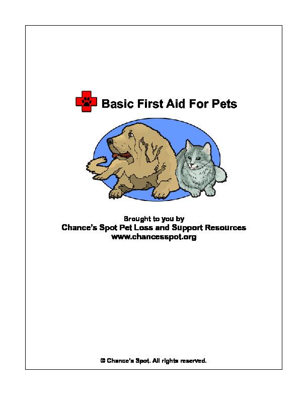Basic First Aid For Pets