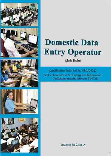 Domestic Data Entry Operator