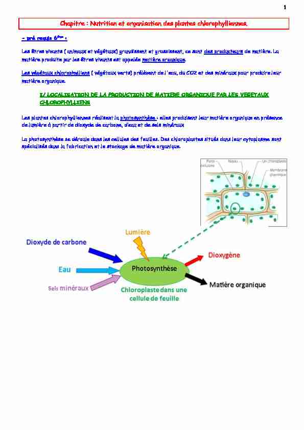 Chapitre : Nutrition et organisation des plantes chlorophylliennes.