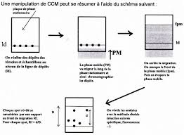 Techniques chromatographiques : la CCM