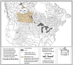 Grenouille léopard (Lithobates pipiens) populations des Prairies et