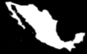 10-questions-export-MEXIQUE-200221.pdf