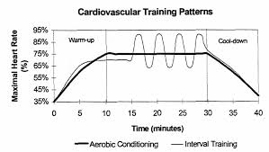 training-for-cardiovascular-fitness.pdf