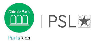 chimie-paristech-formations-syllabus-2019-3a-fr.pdf