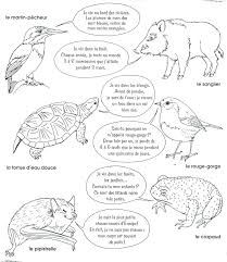 Classification animale.pdf