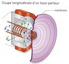 Induction magnétique (2) : circuit mobile dans un champ
