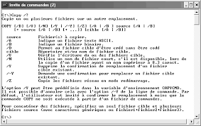 TP01 : Manipulation des commandes MS - DOS