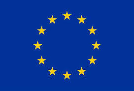 EU Grants: ERC-STG & ERC-COG— Information for Applicants to