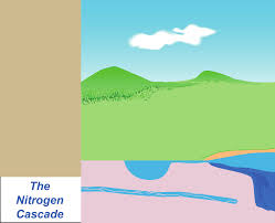 Carbon and Other Biogeochemical Cycles