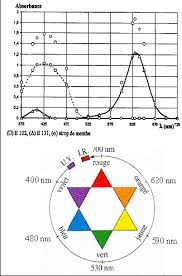 TP n°6 Dosage spectrophotométrique des colorants dun sirop de