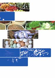 Guide pour mesurer la diversité alimentaire au niveau du ménage et