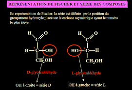 L3-BPV-FSNV/UFMC Biochimie végétale / Supplement-Chp 1