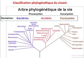 cours-zoologie-l2-écologie-et-L2-hydrobiologie.pdf