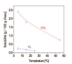 Etude de la solubilité de lhydrogène dans des liquides confinés