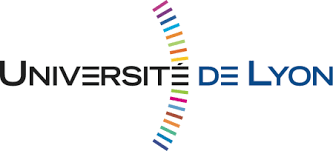 Université Lumière Lyon 2 LA DEPENDANCE A LHEROÏNE DANS