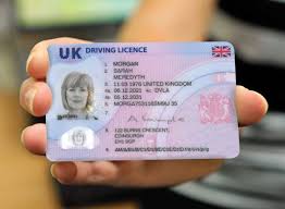 INS57P - Information on driving licences - GOV.UK