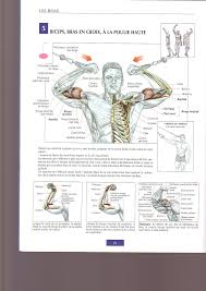 Guide de musculation.pdf