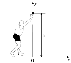 Exercices sur le mouvement parabolique dans un champ de
