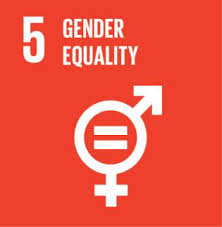 Sustainable Development Goals Related human rights *