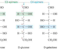 Structure des glucides : Corrigé type = 4. Donc il existe deux stéréo
