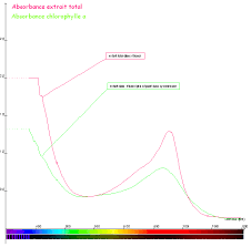 Le spectre dabsorption des pigments chlorophylliens