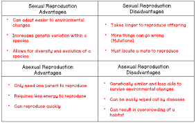 Name: Date: Period: Sexual and Asexual Reproduction Study Guide