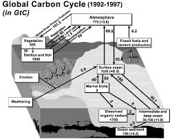 Contribution à létude du système des carbonates en Méditerranée