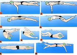Principes de base de la nage Pour qu un corps humain se déplace