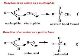 UNIT II A. Phenols* B. Aromatic Amines* C. Aromatic Acids* 10