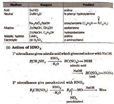 Chemistry Notes for class 12 Chapter 13 Amines.pdf
