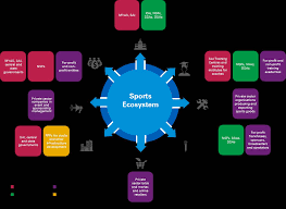 the-business-of-sports.pdf