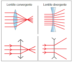 TP1 : Les lentilles minces convergentes