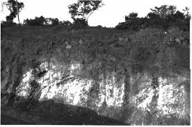 Etude préliminaire du gisement de manganèse de Mokta