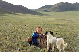 Fiche pédagogique «Le chien jaune de Mongolie»