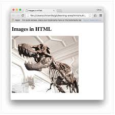 Les images en HTML (tutoriel)