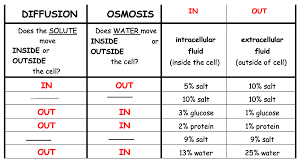 Diffusion & Osmosis worksheet ANSWERS